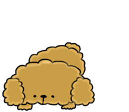 Usable toy poodle sticker #9602616