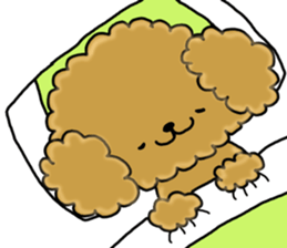 Usable toy poodle sticker #9602629