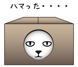 The CAT Vol.1 sticker #9602872