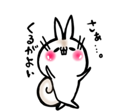 USARIRisu 5 sticker #9604100