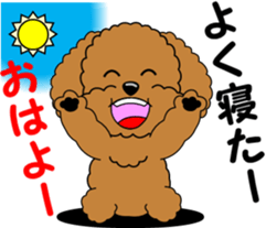 Positive and negative Toy Poodle sticker #9604920