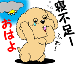 Positive and negative Toy Poodle sticker #9604921