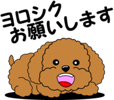 Positive and negative Toy Poodle sticker #9604930