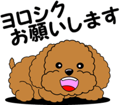 Positive and negative Toy Poodle sticker #9604930