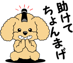 Positive and negative Toy Poodle sticker #9604937