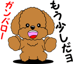 Positive and negative Toy Poodle sticker #9604940