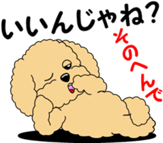 Positive and negative Toy Poodle sticker #9604941
