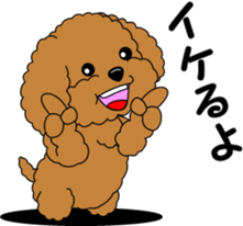 Positive and negative Toy Poodle sticker #9604948