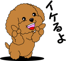 Positive and negative Toy Poodle sticker #9604948