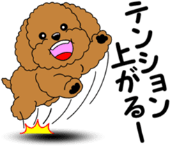 Positive and negative Toy Poodle sticker #9604950