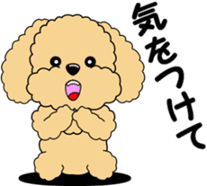 Positive and negative Toy Poodle sticker #9604955