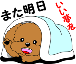 Positive and negative Toy Poodle sticker #9604958