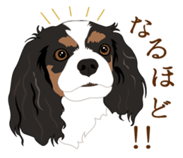 Adorable dogs sticker #9605600