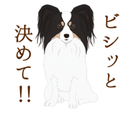 Adorable dogs sticker #9605604