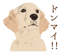 Adorable dogs sticker #9605621