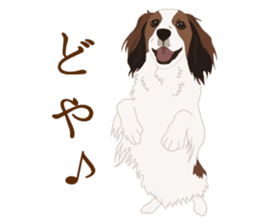 Adorable dogs sticker #9605628