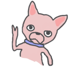 Dear Chihuahua sticker #9605565