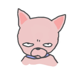 Dear Chihuahua sticker #9605568