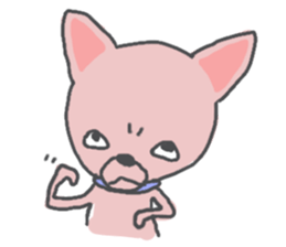 Dear Chihuahua sticker #9605585