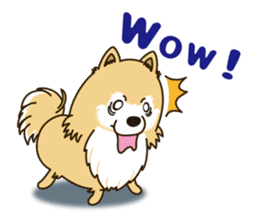 A sticker willingly. Pomeranian EV sticker #9609769