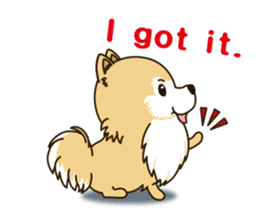 A sticker willingly. Pomeranian EV sticker #9609773