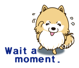A sticker willingly. Pomeranian EV sticker #9609777