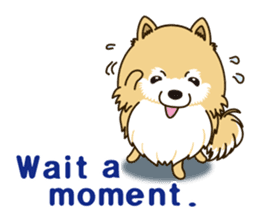 A sticker willingly. Pomeranian EV sticker #9609777