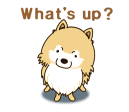 A sticker willingly. Pomeranian EV sticker #9609778