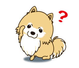 A sticker willingly. Pomeranian EV sticker #9609779