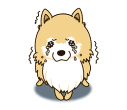 A sticker willingly. Pomeranian EV sticker #9609788