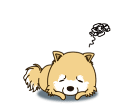 A sticker willingly. Pomeranian EV sticker #9609789