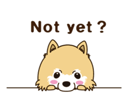 A sticker willingly. Pomeranian EV sticker #9609791