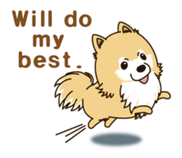 A sticker willingly. Pomeranian EV sticker #9609792