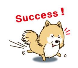 A sticker willingly. Pomeranian EV sticker #9609793