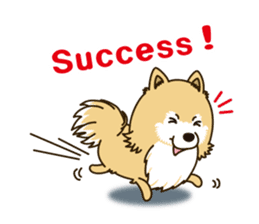 A sticker willingly. Pomeranian EV sticker #9609793