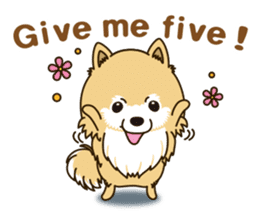 A sticker willingly. Pomeranian EV sticker #9609794