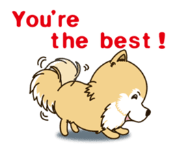 A sticker willingly. Pomeranian EV sticker #9609796