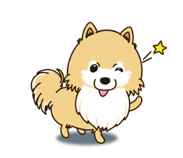 A sticker willingly. Pomeranian EV sticker #9609797