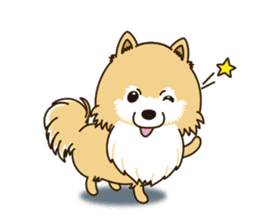 A sticker willingly. Pomeranian EV sticker #9609797