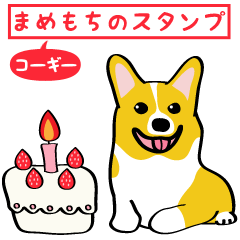 "Mamemochi" of a Pembroke Welsh Corgi