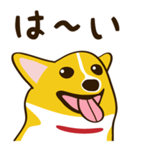 "Mamemochi" of a Pembroke Welsh Corgi sticker #9610046