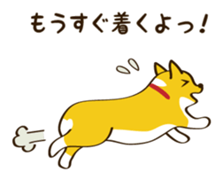 "Mamemochi" of a Pembroke Welsh Corgi sticker #9610052