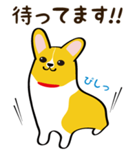"Mamemochi" of a Pembroke Welsh Corgi sticker #9610053