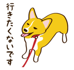 "Mamemochi" of a Pembroke Welsh Corgi sticker #9610058