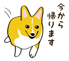 "Mamemochi" of a Pembroke Welsh Corgi sticker #9610061