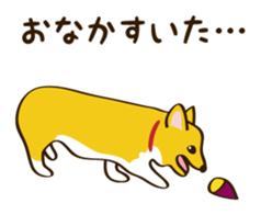 "Mamemochi" of a Pembroke Welsh Corgi sticker #9610068