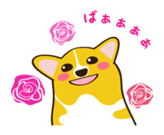 "Mamemochi" of a Pembroke Welsh Corgi sticker #9610071