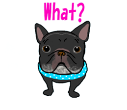 We are funny French Bulldogs sticker #9610365