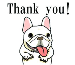 We are funny French Bulldogs sticker #9610370