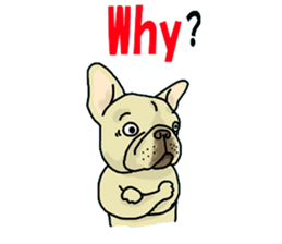 We are funny French Bulldogs sticker #9610374